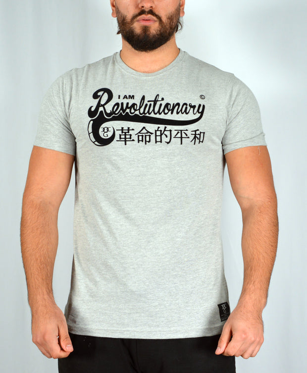Mens Grey / Black Am Revolutionary T Shirt